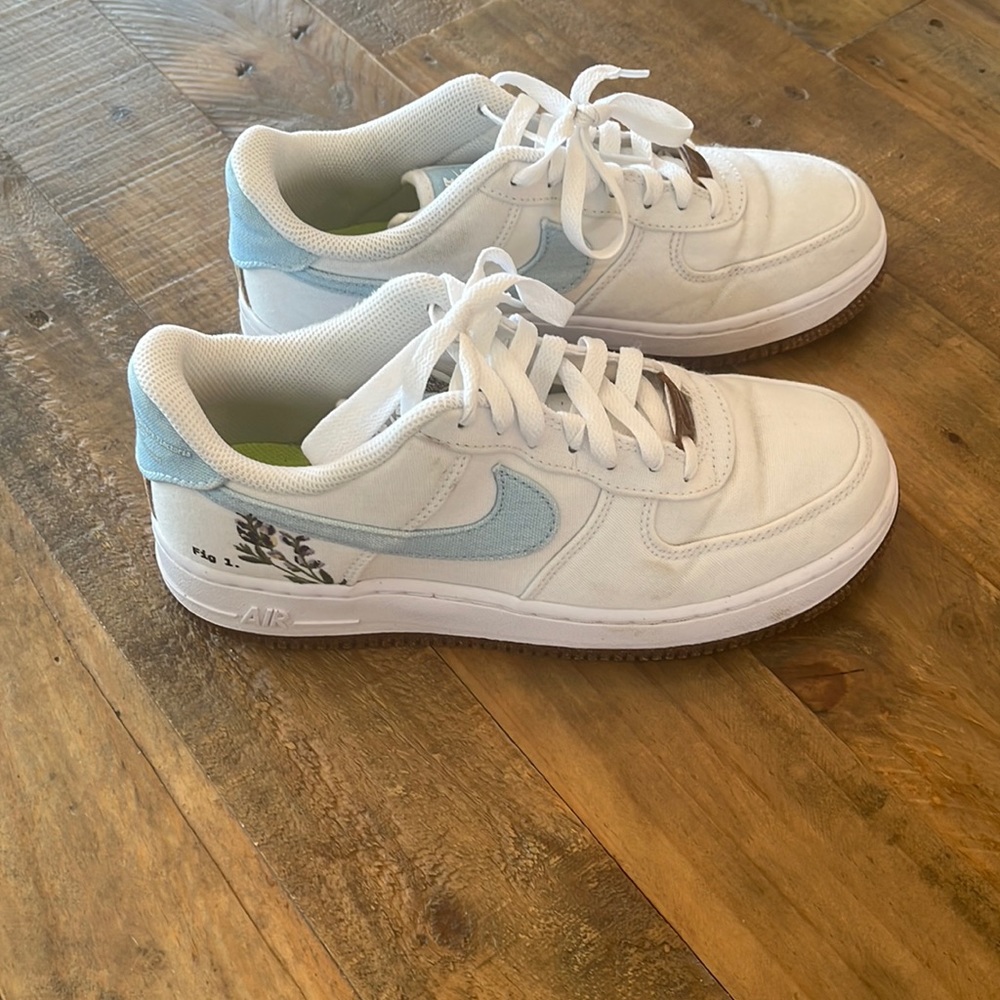 Blue Air Force One